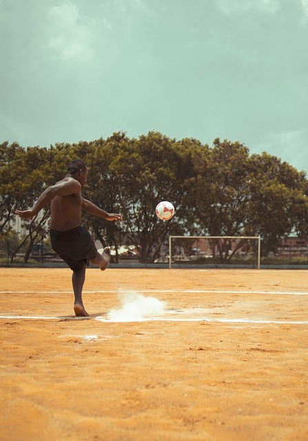 转会市场上 转会市场上